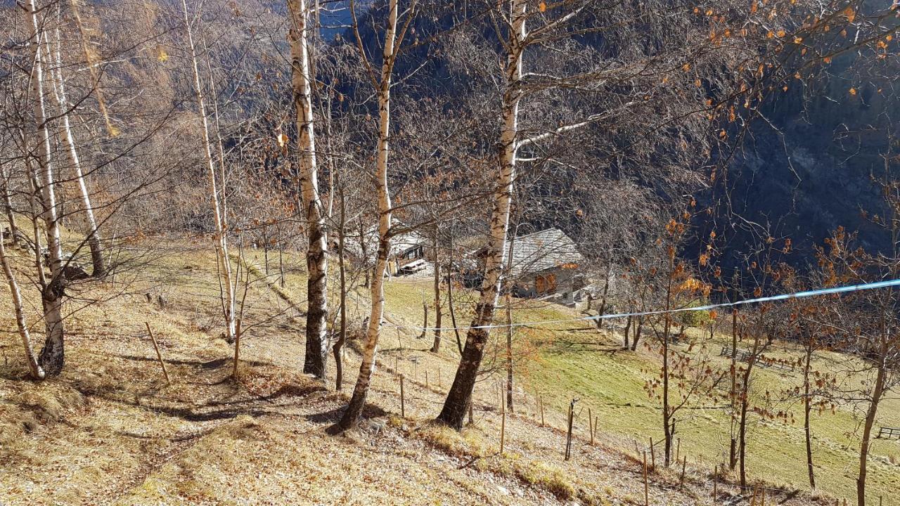 Вилла Chalet La Paz With Hotpot And Sauna Torbel Экстерьер фото