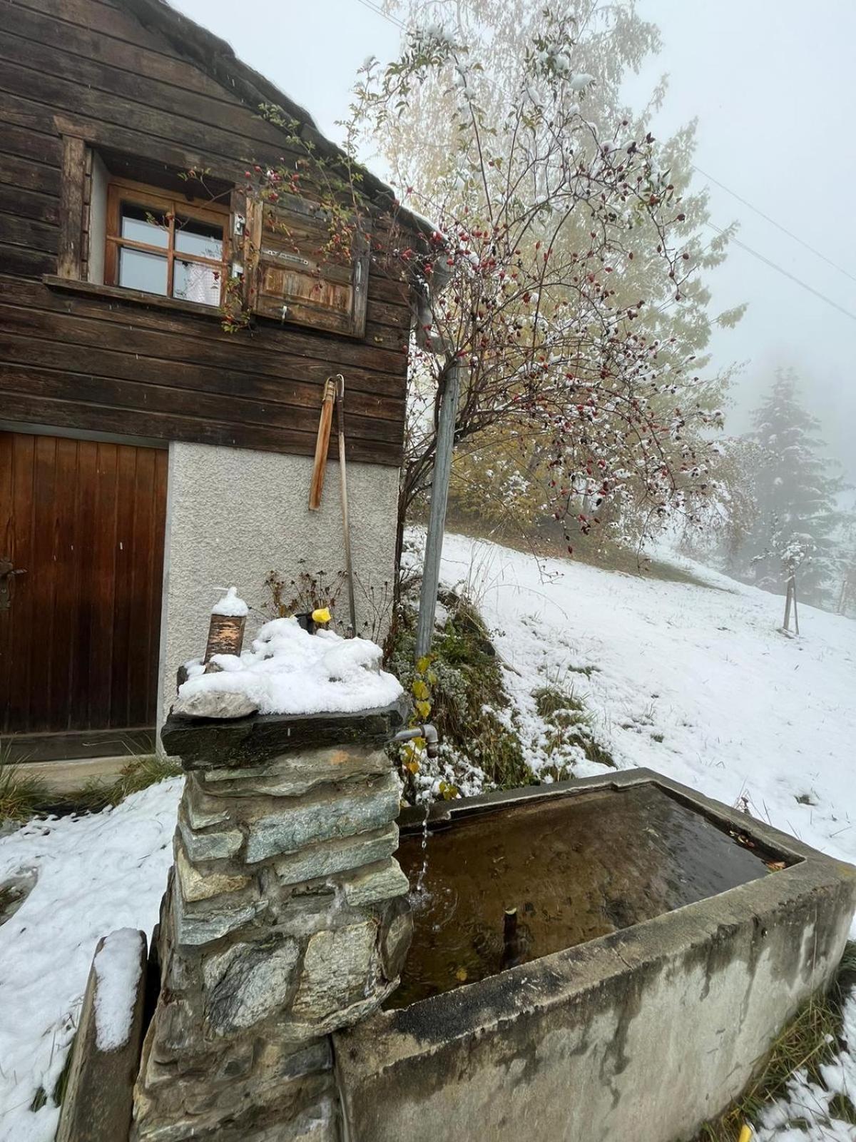 Вилла Chalet La Paz With Hotpot And Sauna Torbel Экстерьер фото